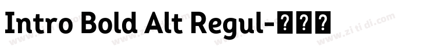 Intro Bold Alt Regul字体转换